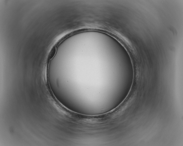 X0000110701272200906121326
