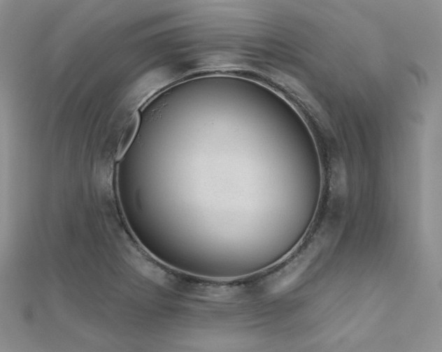 X0000110701273200906121326