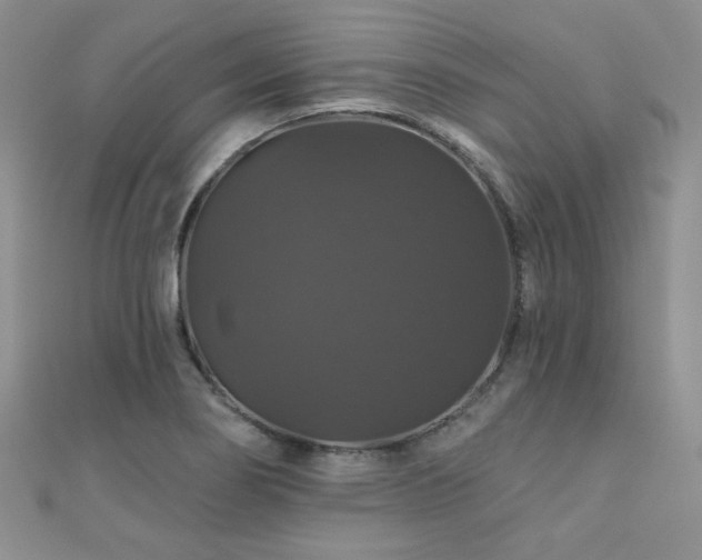 X0000110701274200906121326