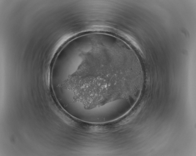 X0000110701275200906121326