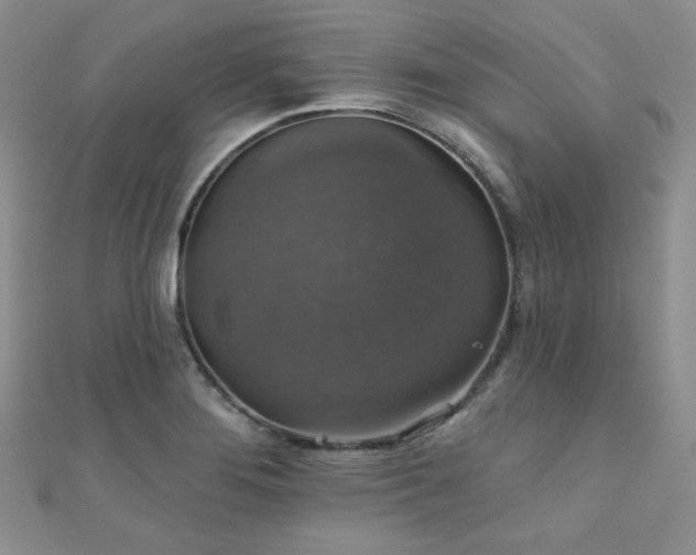 X0000110701276200906121326