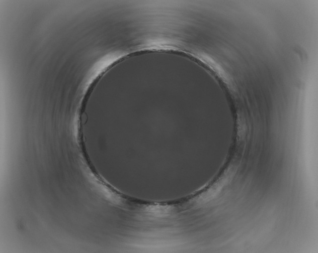 X0000110701277200906121326