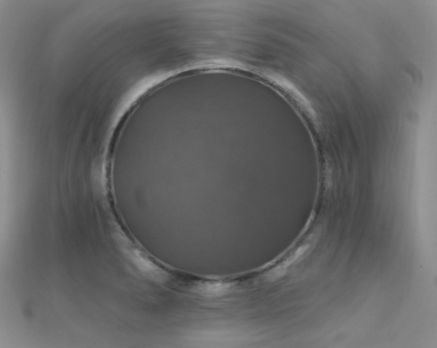 X0000110701278200906121326