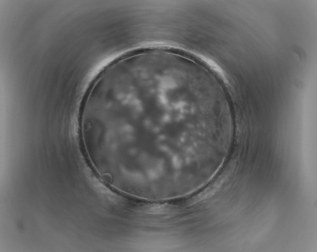 X0000110701279200906121326