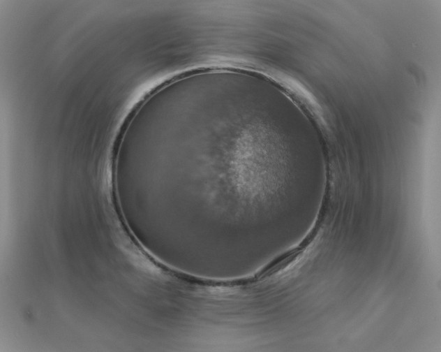 X0000110701280200906121326