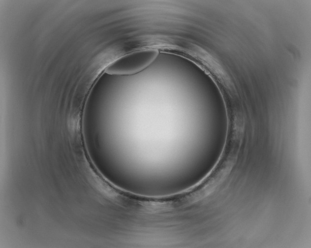 X0000110701281200906121326