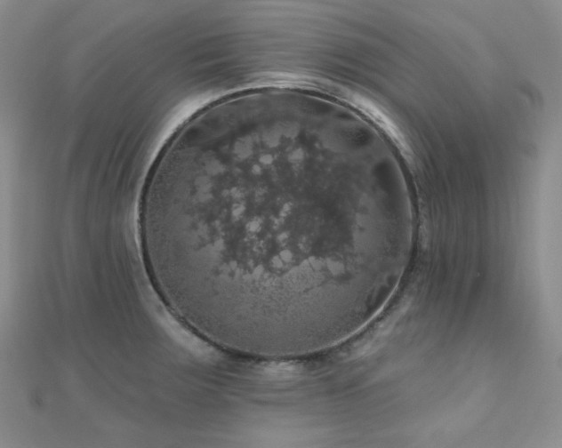 X0000110701283200906121326