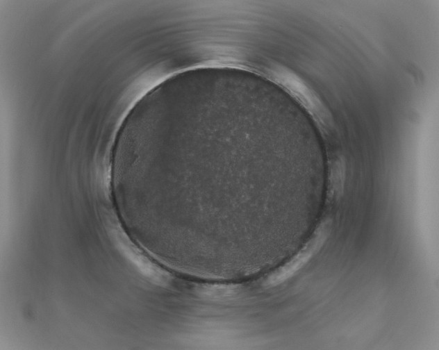 X0000110701284200906121326