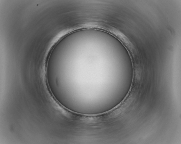 X0000110701286200906121326