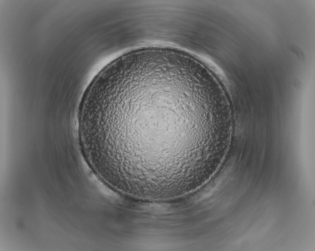 X0000110701287200906121326