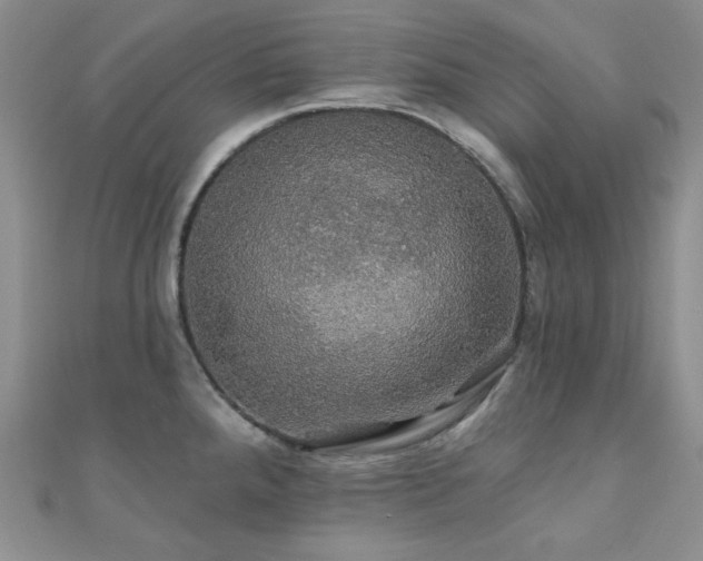 X0000110701288200906121326