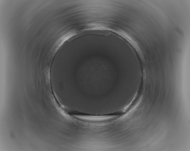 X0000110701289200906121326