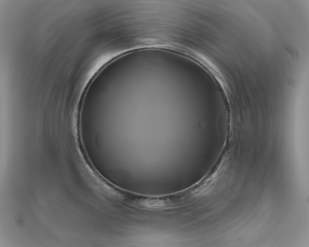 X0000110701291200906121326