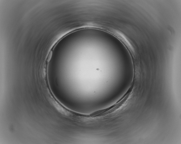 X0000110701292200906121326