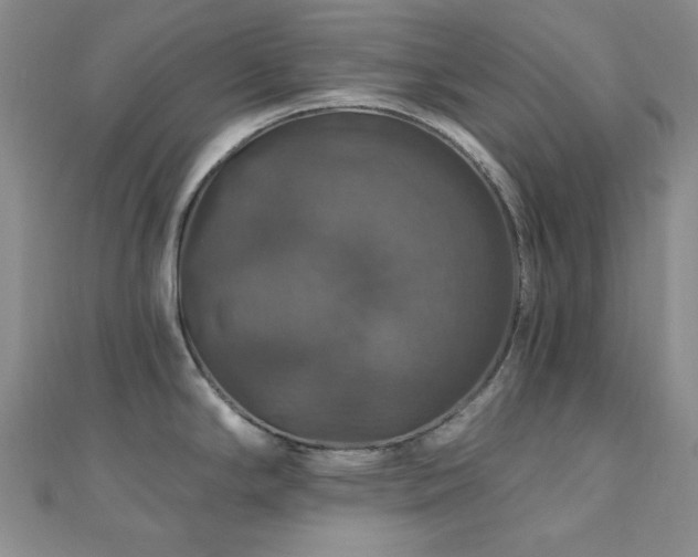 X0000110701294200906121326