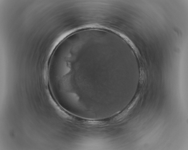 X0000110701295200906121326