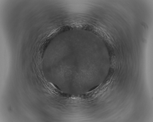 X0000110701297200906121325