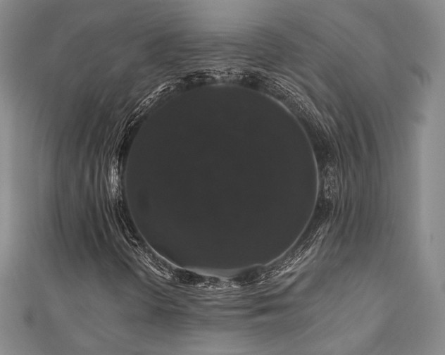 X0000110701298200906121325