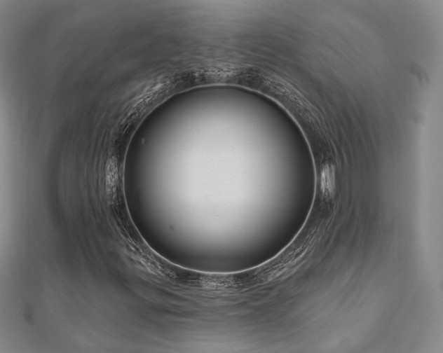 X0000110701299200906121325