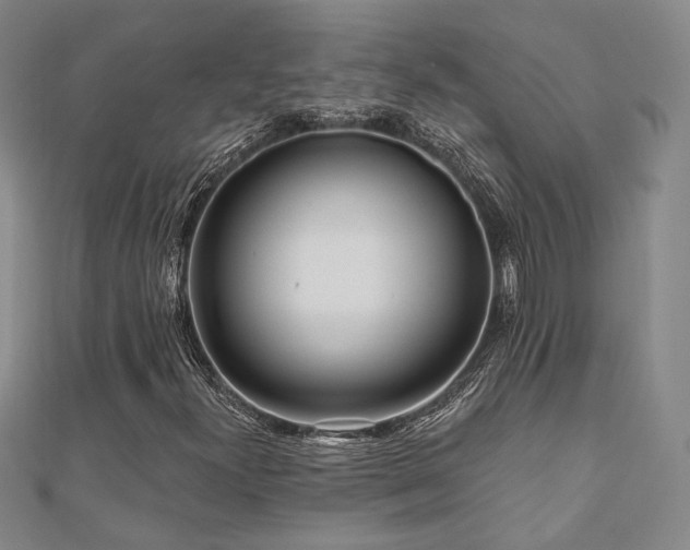 X0000110701300200906121325