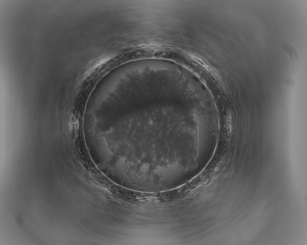 X0000110701302200906121325