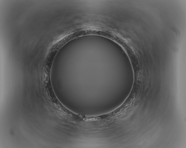 X0000110701303200906121325