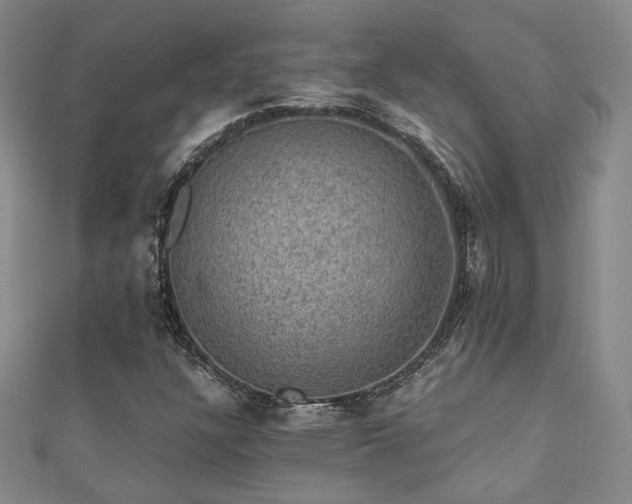 X0000110701304200906121325
