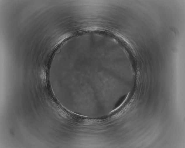 X0000110701305200906121325