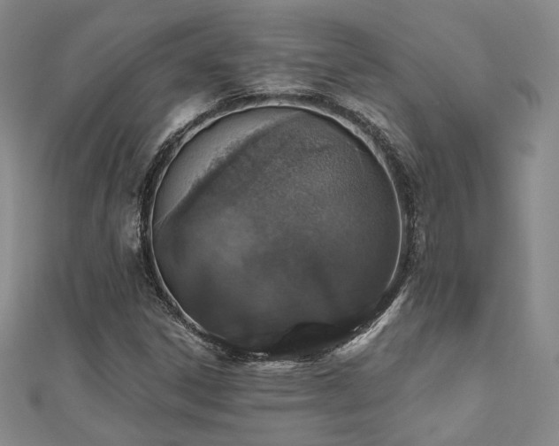 X0000110701306200906121325