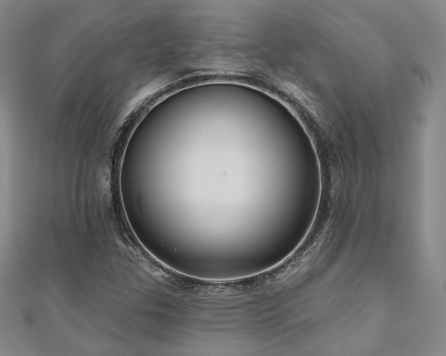 X0000110701307200906121325