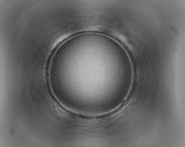 X0000110701308200906121325