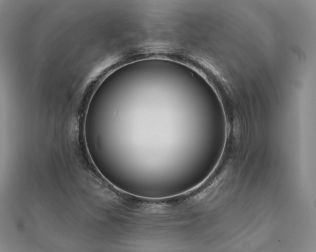 X0000110701309200906121325