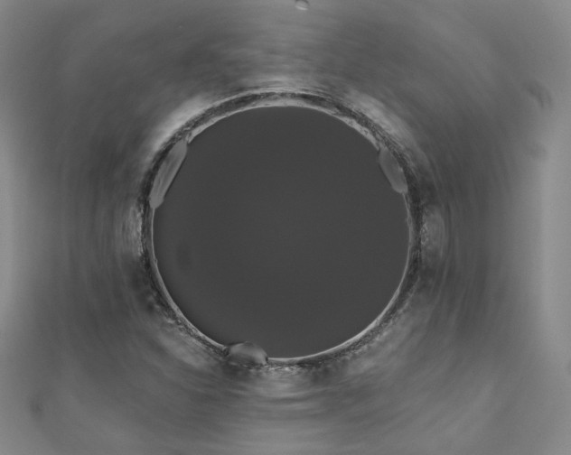 X0000110701310200906121325