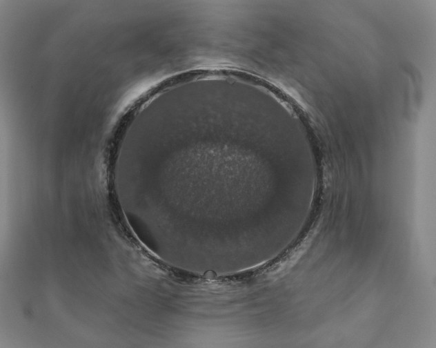 X0000110701311200906121325