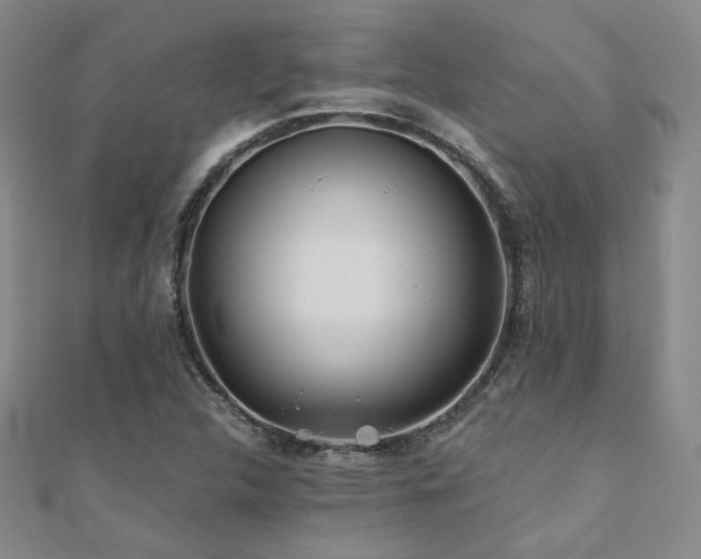 X0000110701312200906121325