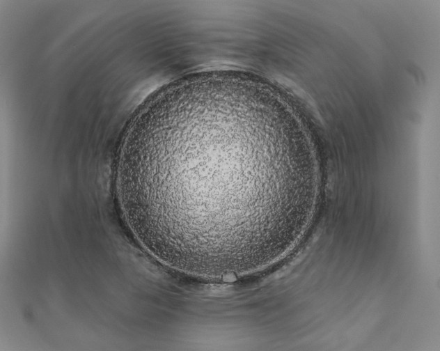 X0000110701313200906121325