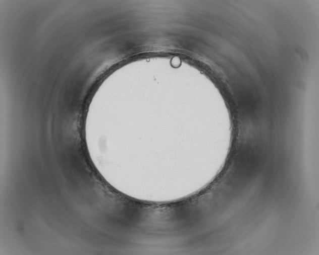 X0000110701314200906121325