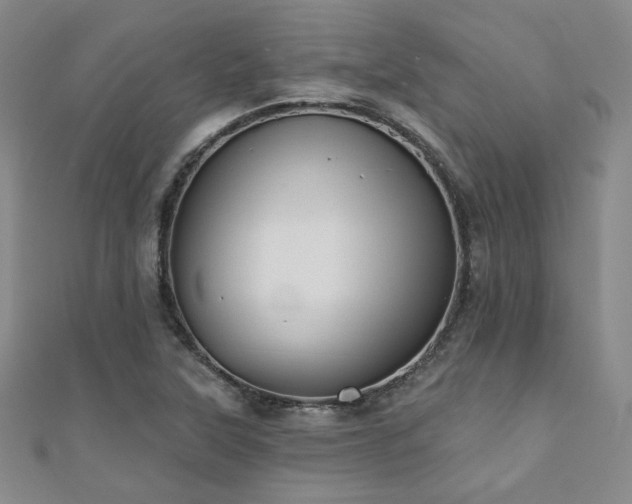 X0000110701315200906121325