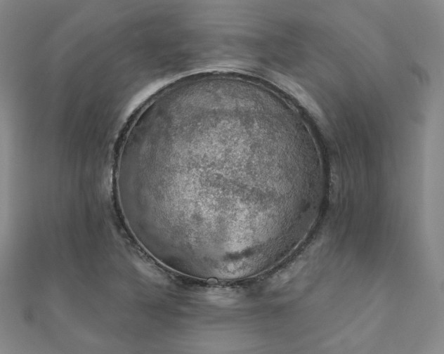 X0000110701316200906121325