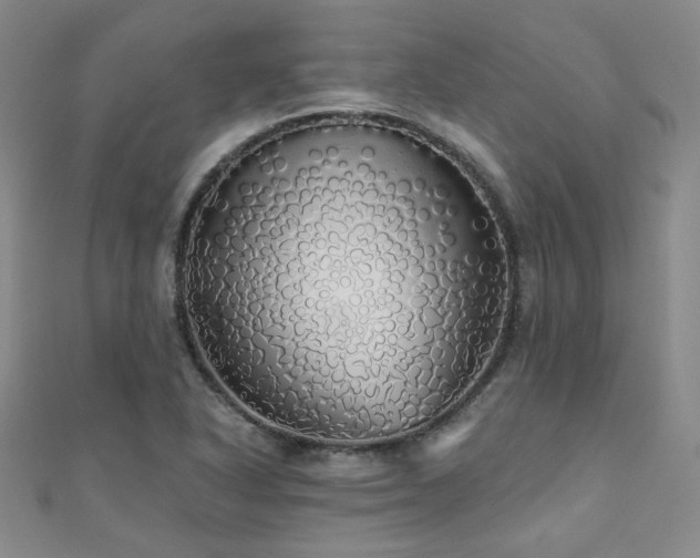 X0000110701318200906121325