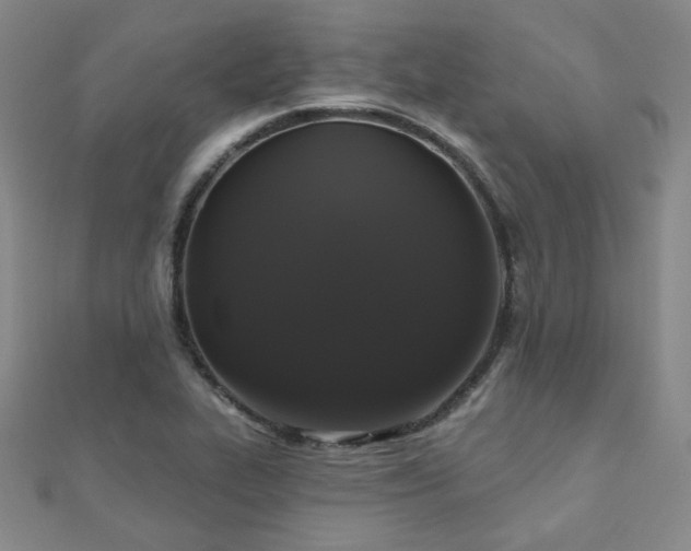 X0000110701319200906121325