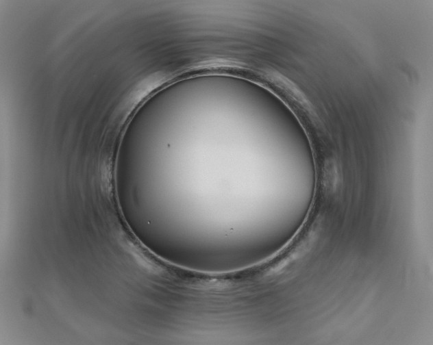 X0000110701321200906121325