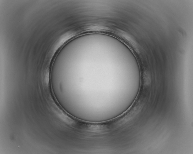X0000110701322200906121325