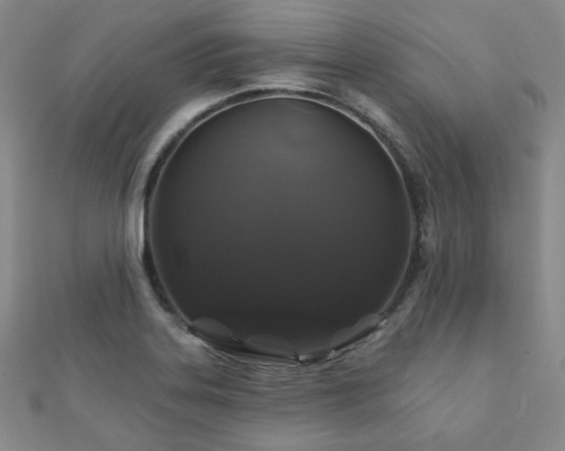 X0000110701323200906121325