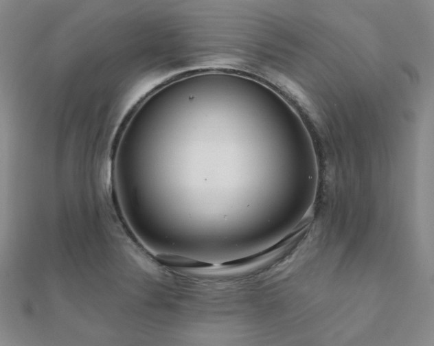 X0000110701324200906121325