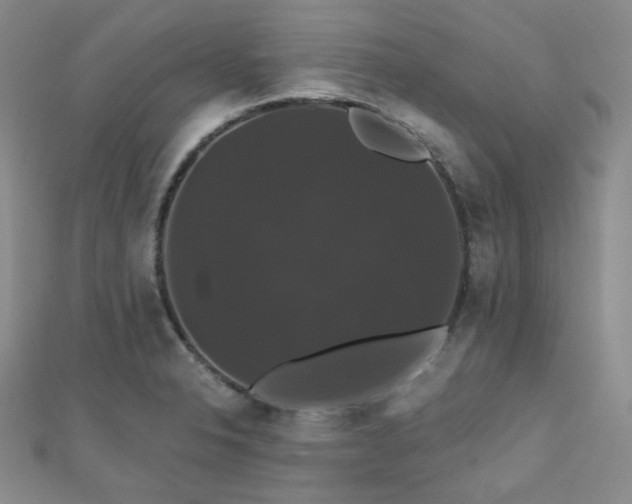 X0000110701326200906121325