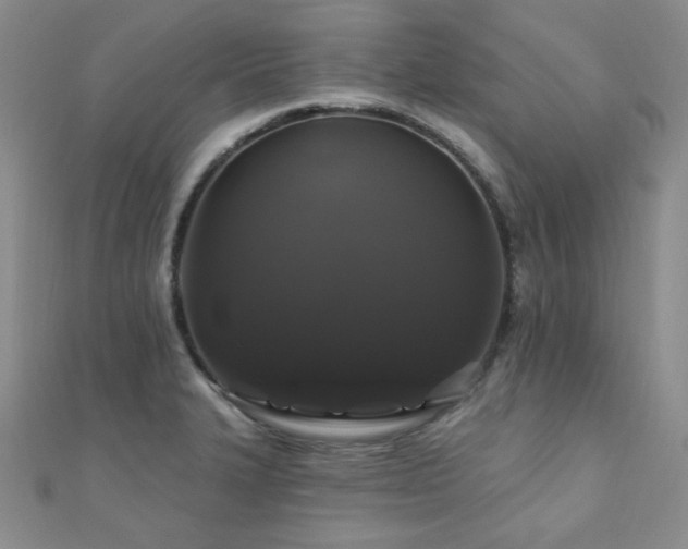 X0000110701327200906121325