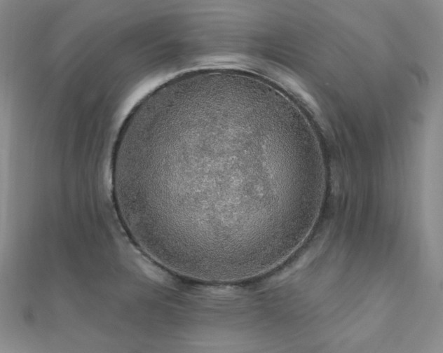 X0000110701328200906121325