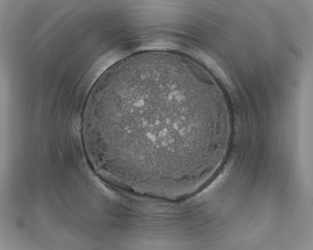 X0000110701329200906121325