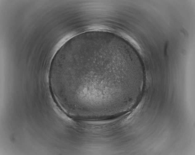 X0000110701330200906121326